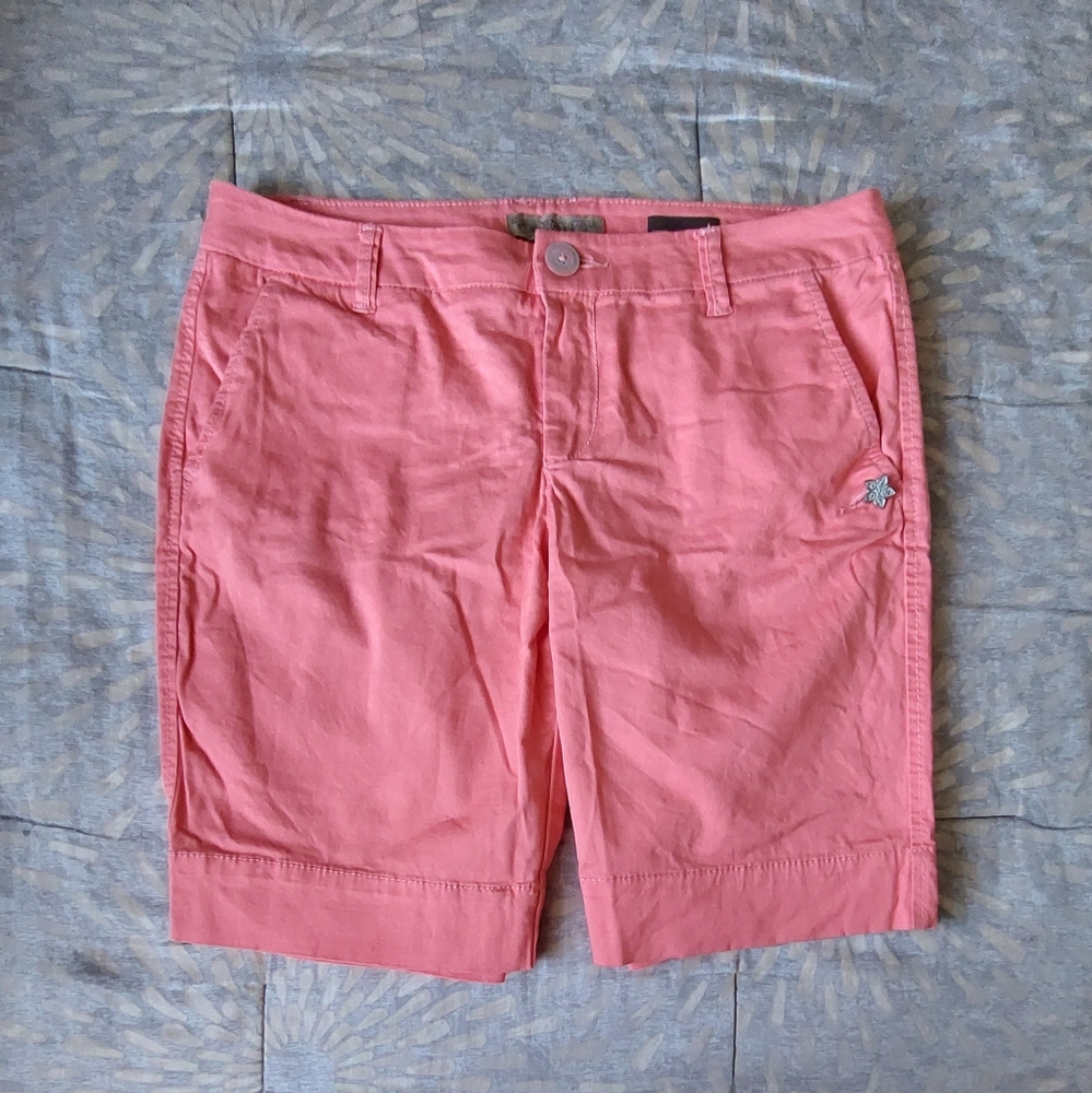 Vintage America shorts size 6.
